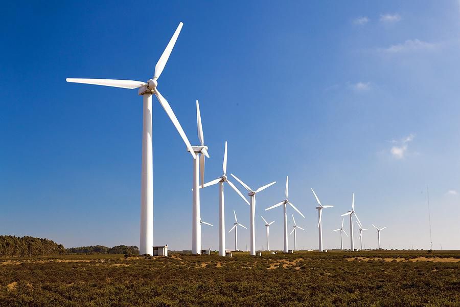 La iniciativa busca promover el cuidado del medio ambiente