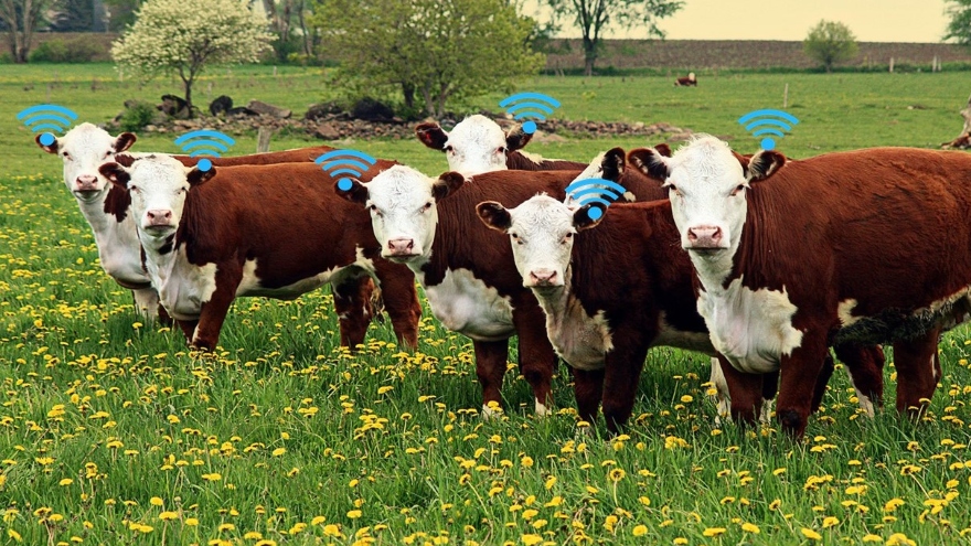 El Agro adopta a la tokenización