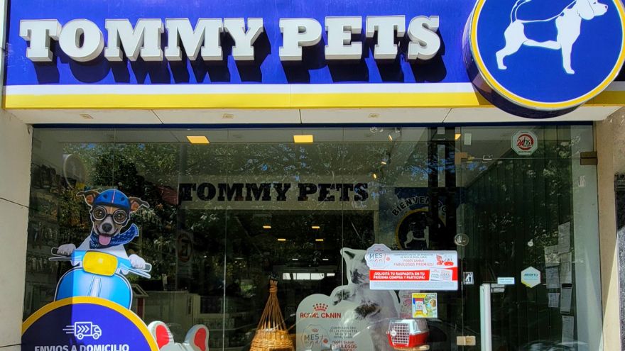 mascotas tommy