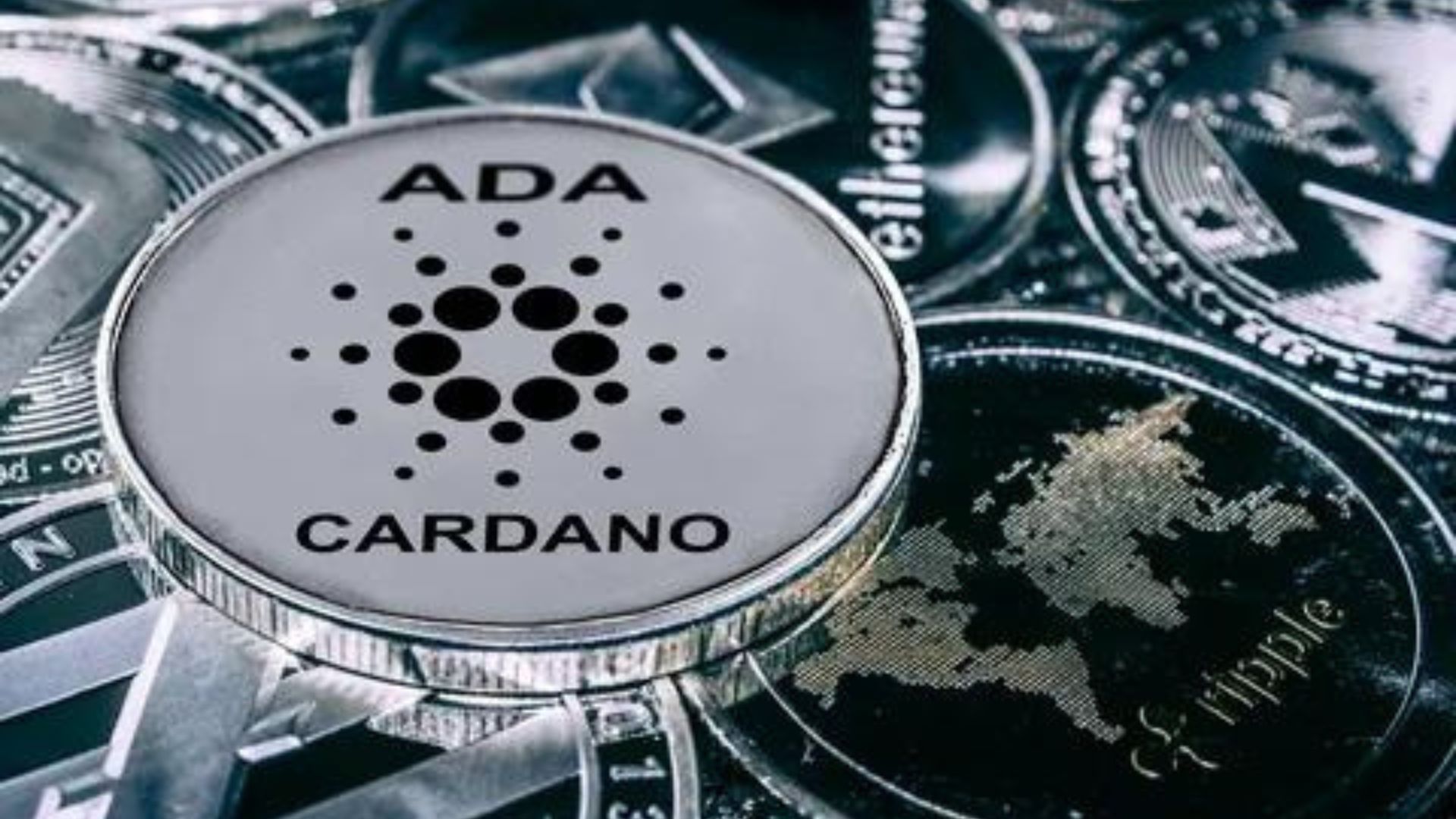 Cardano entre los elegidos