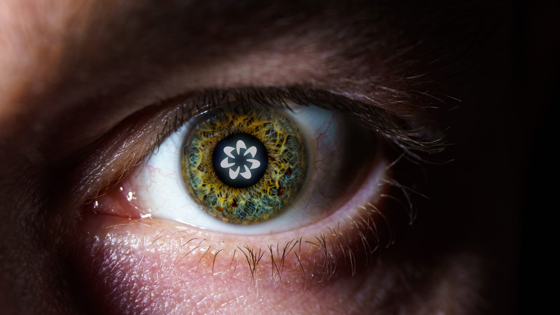 Miles de jóvenes de todo el mundo están escaneando sus ojos a cambio de unos 60 dólares