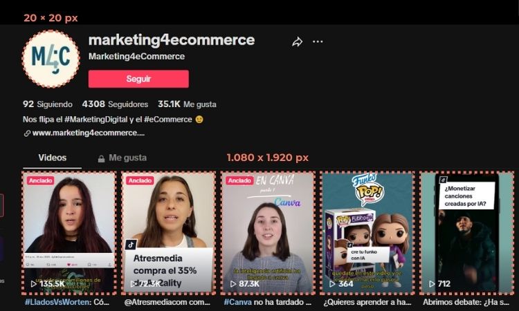 Captura de pantalla del perfil de M4C en TikTok en la que se muestran enmarcadas las diferentes imágenes que lo componen y se indican sus medidas.  Imagen de perfil (20x20 px) y tamaño del vídeo (1.080x1.920px).