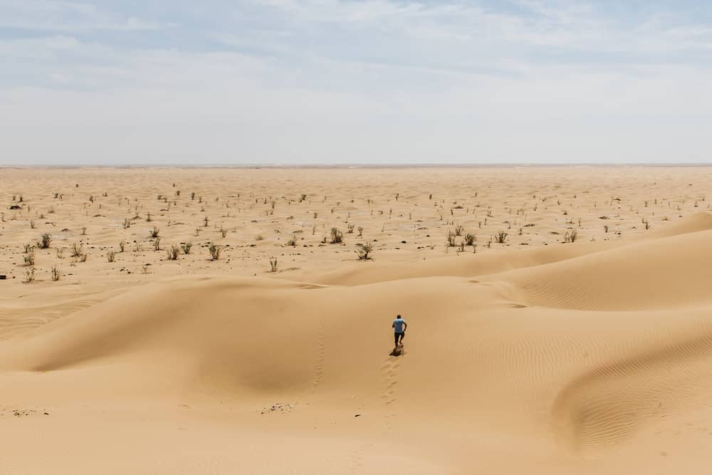 como vender online en 2024 travesía del desierto