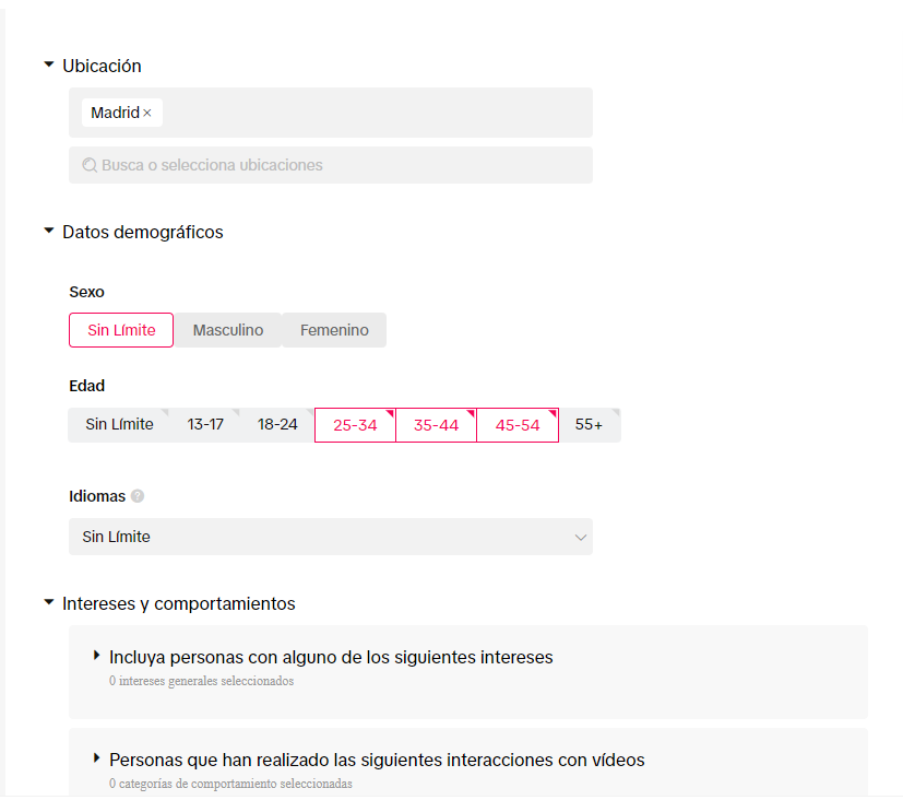 segmentación audiencia tiktok ads manager